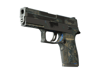 P250 - Обменник - 160x114
